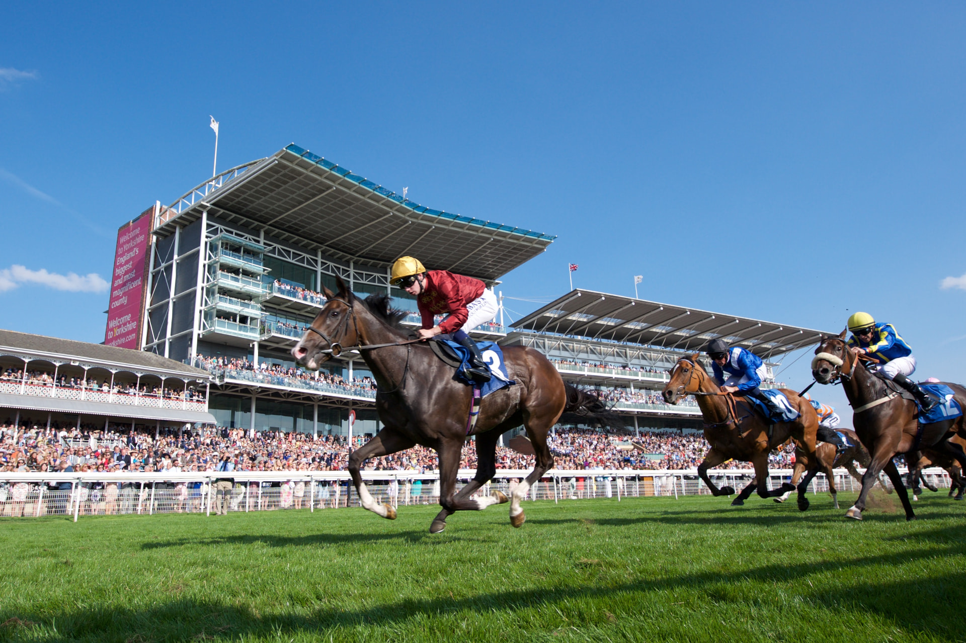 York Racecourse case study